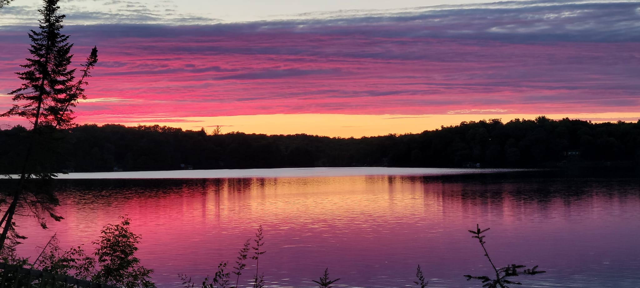 Big Pine Lake Association